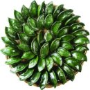 미원초등학교금관분교장 이미지