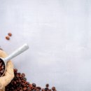 비바 태양광발전소 이미지