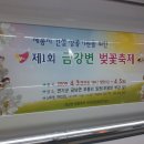 제1회금강변 벚꽃축제 2탄(지하철광고) 이미지