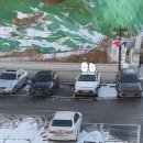 훌랄라참숯치킨 양주덕정점 | 🤭 시시콜콜 일상 공유 🤭