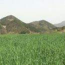 구릉골 이미지