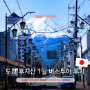 가이드호 | 도쿄 후지산 투어 버스 당일치기 가격 예약 센겐공원 가와구치호 오시노 핫카이 후기