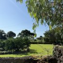 위미스테이 | 5일 - 4일차 (소이연가, 비밀의숲, 용눈이오름, 아베베베이커리, 카멜커피, 코난해변, 풍화로,윤슬스테이)