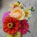 해피농장 이미지