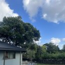 태흥중동로 이미지