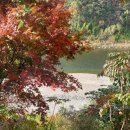 아우라지쉼터 이미지