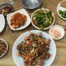 대포쏘는날 이미지