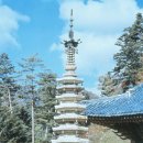 월정사 - 1357 | 월정사