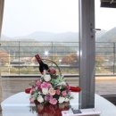 더웰니스펜션 이미지