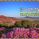 4/12(수) [강화] 고려산+혈구산+퇴모산 진달래 축제 트래킹 (관광팀 별도진행) 이미지