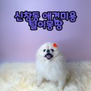 털이몽땅 이미지