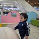 신봉1로 240번길 | 제주 버스여행, 뚜벅이도 갈 수 있는 1100고지 습지 3월 방문 후기 (240번 버스 시간표/한라산눈꽃버스)