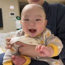 중기 효자숲 | 본격 이유식 시작과 아기여권 만들기