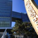맛정당 이미지