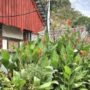 수능엄사 옆 이미지