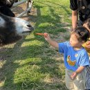 이천촌캉스 이미지