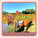 (주)교원더오름 | 제주 승마체험 동쪽 서귀포 오름코스 뷰제주하늘 아이랑 제주투어패스