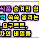 발효식품 종류와 효능 면역력에 좋은 효과 발효 식품 5가지 이미지