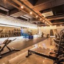 몰리짐 장기점 이미지