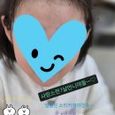 알프스하이디어린이집 이미지