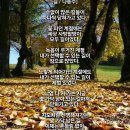 나이테/길 이미지