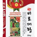 대왕상사주