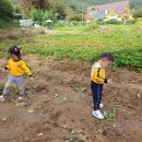 지월농장 이미지