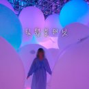 마카오 여행 후기 베네시안 마카오 호텔 팀랩 전시 예약 방법 할인 팁