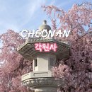 수양천안·아산