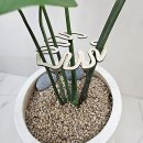 식물지인 쇼핑하우