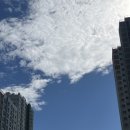 백자동 | 첫 가을 캠핑 &lt; 백자동 캠핑장🏕️ &gt;