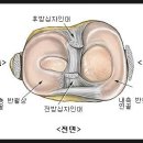 경희토정한의원 이미지