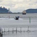 신호초등학교 이미지