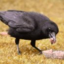 한국폴리텍 VII 대학 부산캠퍼스 이미지