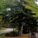 용추자연휴양림야영장 이미지