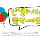 안녕붕붕아 네이버블로그