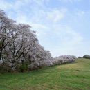 관동목장 이미지