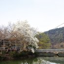 위양리 학산정사 | 밀양 위양지 둘레길 산책