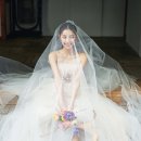 노블레스팜 네이버블로그