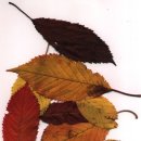 그대가세탁소 이미지