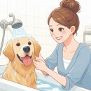 마이리틀프렌드 강남점 | 목욕전문가가 직접 하는 중.대형견 전문 위탁목욕 "마이리틀프렌드"
