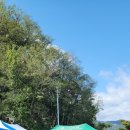 벽진농업협동조합 이미지