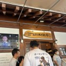 범계핑다이어트 | 6월 4째주 일기