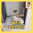 공도소방소공도읍사무소 | 강아지출입가능한ABS도어설치
