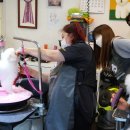 보람애견미용 이미지