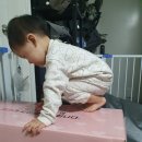 대한적십자사이리적십자 애향관 | 대한적십자사 MOM편한 예비맘 프로젝트 - 분유수유세트