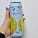 GS25 면목동원점 | GS편의점 신상템! 안성재 하이볼! 소비뇽 레몬 블랑 솔직후기예정