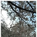 참멋태권도 이미지