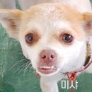 율하우리동물약국 이미지