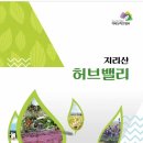 여기, 지리산 이미지